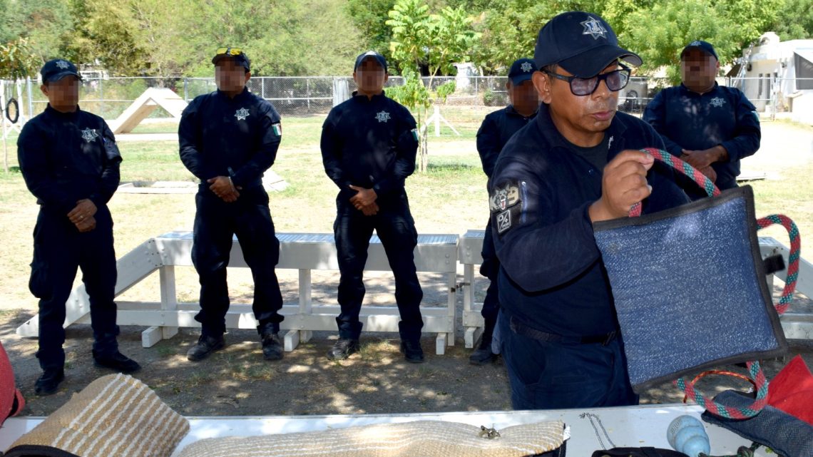 Guardia Estatal capacita a nuevos manejadores de perros de guardia y defensa