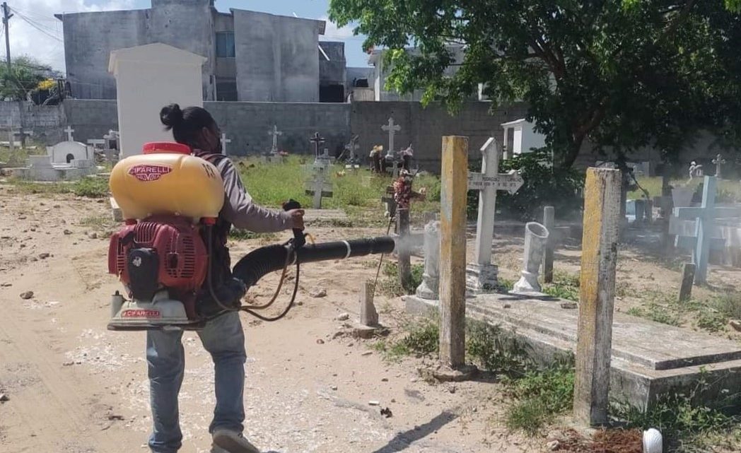 Para prevenir el mosco transmisor del dengue; fumigan cementerios en Ciudad Madero