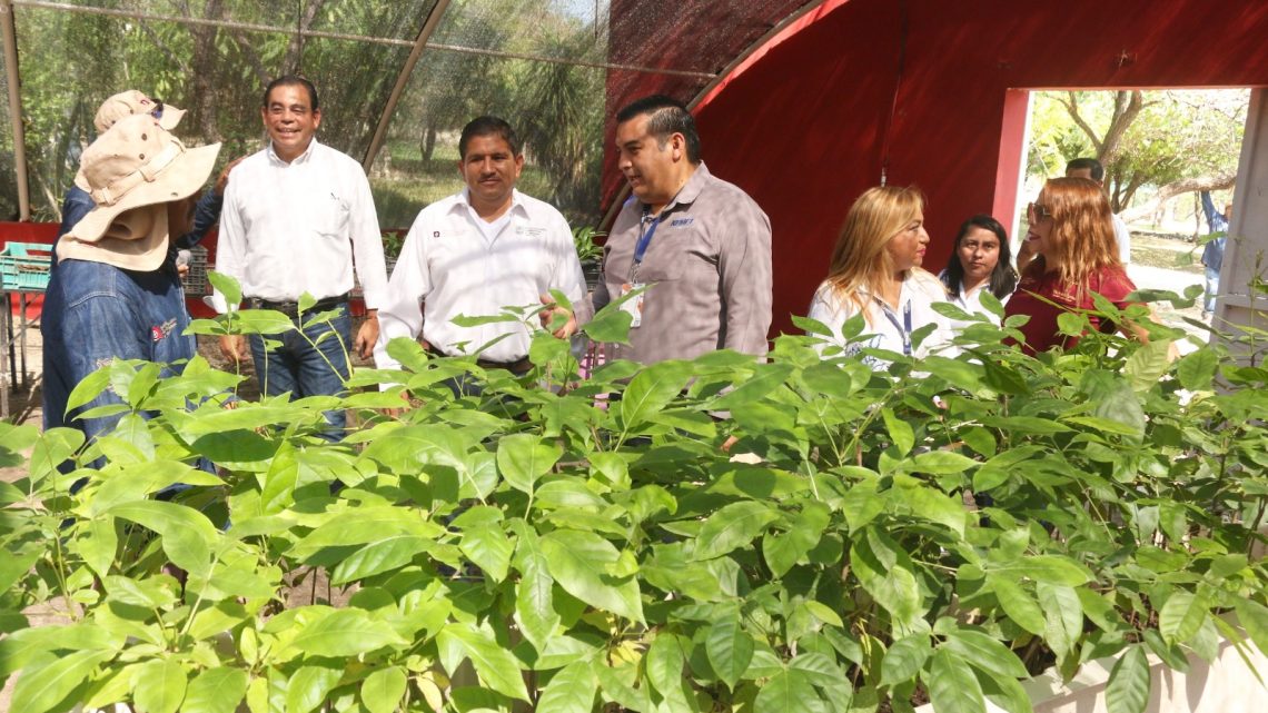 Contribuye Iniciativa Privada a reforestación de Tamaulipas