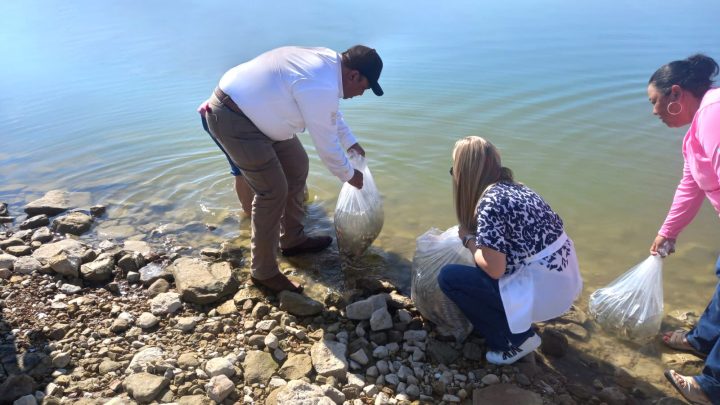 Fortalece Gobierno de Tamaulipas actividad pesquera con la siembra de 60 mil alevines