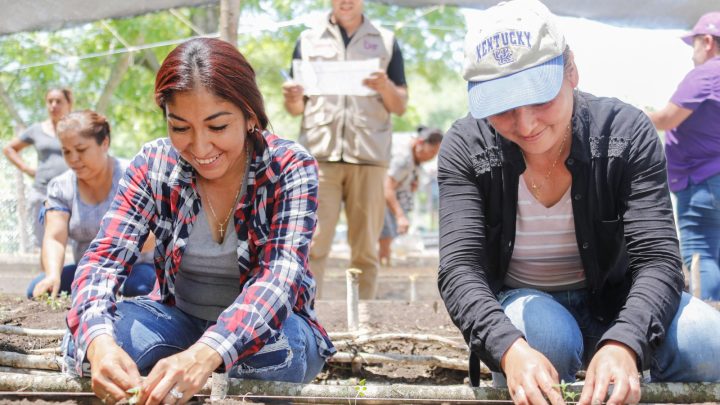 Beneficia DIF Tamaulipas a familias del municipio de Ocampo con el curso “Huerto Familiar”