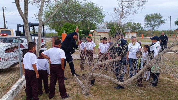 Guardia Estatal realiza actividad de reforestación en primaria de San Fernando