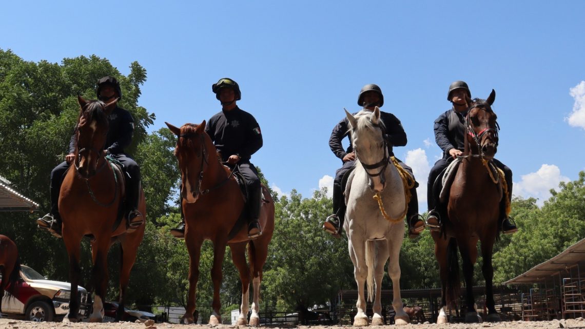 Jinetes de la Guardia Estatal en constante capacitación