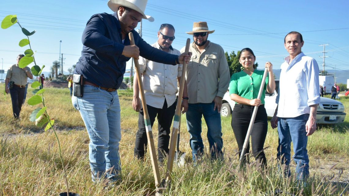 Realiza Desarrollo Rural jornada de reforestación