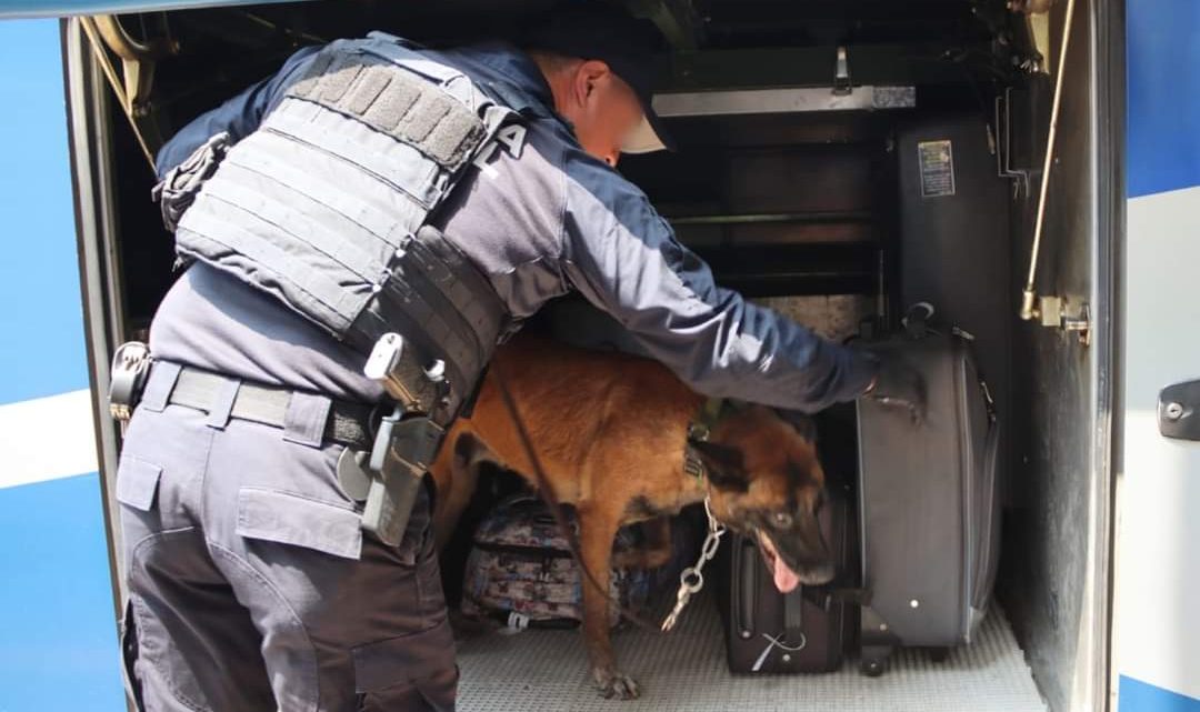 Guardia Estatal redobla vigilancia en centrales de autobuses