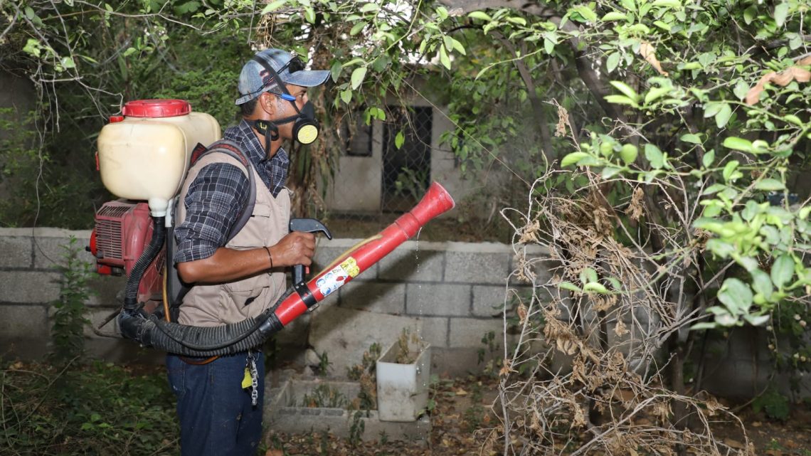 Recomienda Secretaría de Salud eliminar criaderos y tirar cacharros para evitar dengue