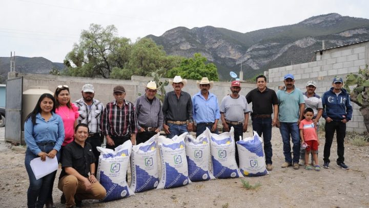 Impulsan siembra de avena forrajera