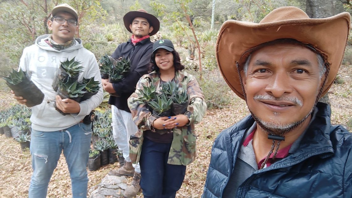 Busca la UAT preservar la genética de especies de maguey