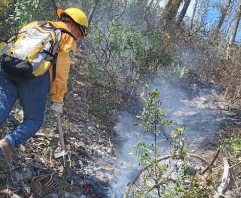 Colaboran brigadistas de la SEDUMA en contención de incendio forestal en Jaumave