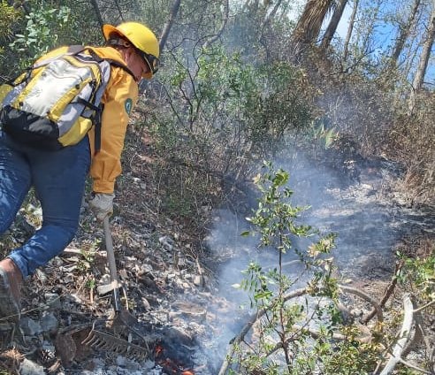 Colaboran brigadistas de la SEDUMA en contención de incendio forestal en Jaumave