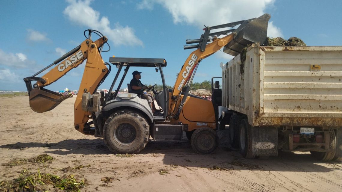 Contribuye Turismo con maquinaria para limpieza de lirio en playa Miramar