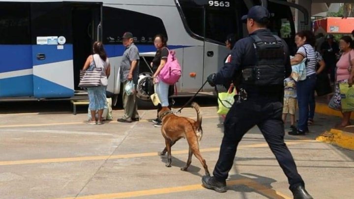 Mantiene Guardia Estatal proximidad en centrales de autobuses