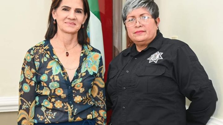 «Seguridad y Bienestar de la Población, Prioridad del Sistema DIF Tampico»: Luz Adriana Villarreal