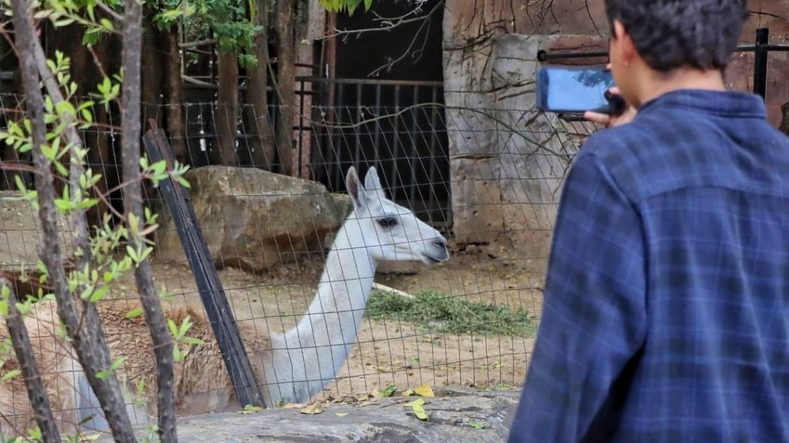 Es Zoológico Tamatán un referente universitario en materia de fauna