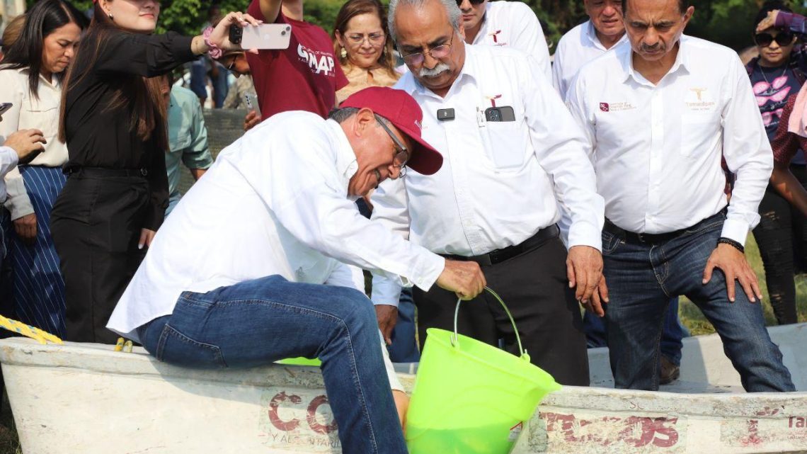 Siembra Gobierno de Altamira 500 mil alevines para repoblar la Laguna de Champayán