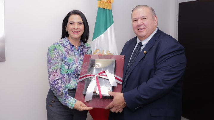 Fructífera Visita de Mónica Villarreal a Mc Allen en el Marco del Acuerdo de Amistad