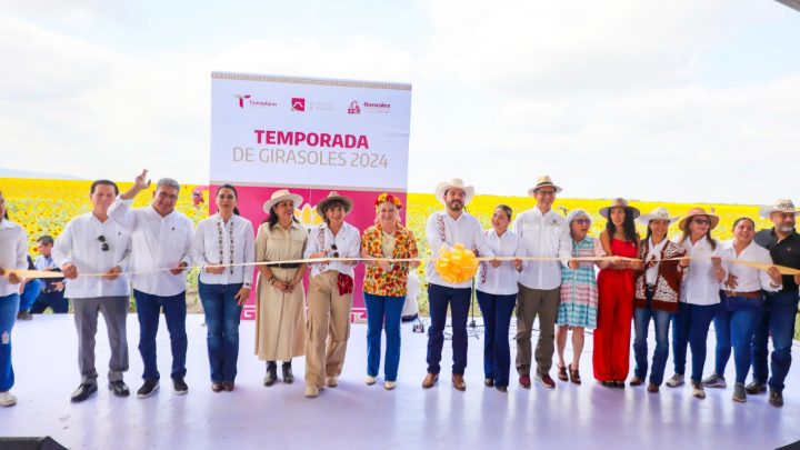 Respalda Gobierno de Tamaulipas promoción de campos de girasoles