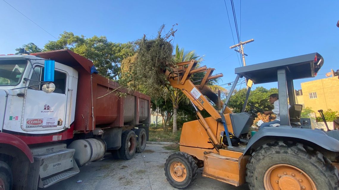 Intensifican Acciones de Limpieza y Mejora del Entorno en la Zona Norte