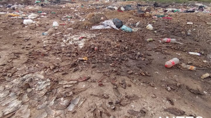 Detectó la PAUT riesgo ambiental en Camargo; limpian y reubican desechos