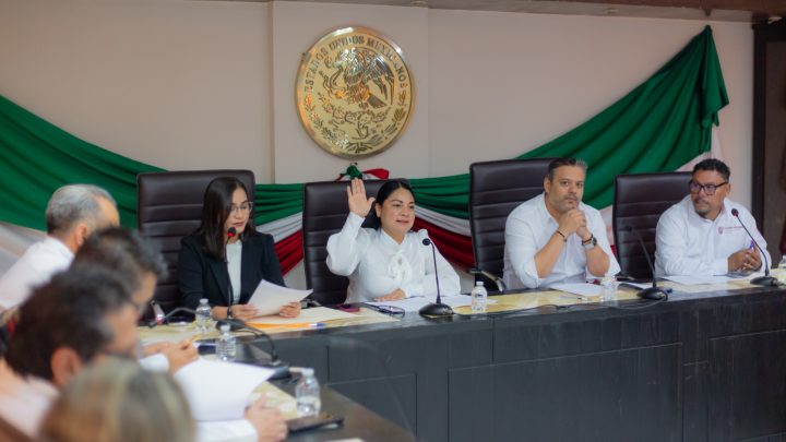 Comisión de Participación Ciudadana Promoverá la Inclusión y la Transparencia